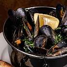 Cozze